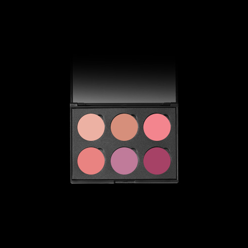 6 Well Universal Blush Palette